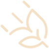 واترمارک کشوین